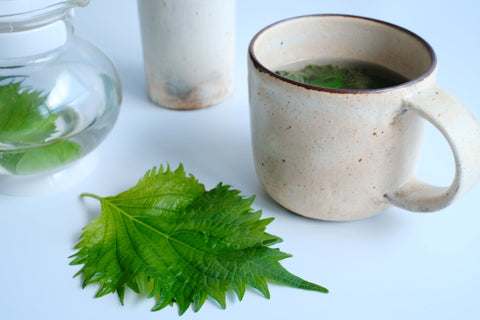 寝る前のHAA時間/手軽にできる青じそハーブティー
