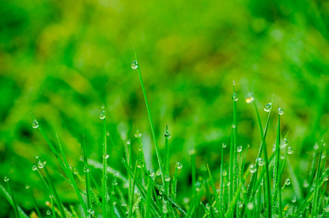 雨の日のため息を、深呼吸の「は~」に変える。 「次、雨が降ったら」