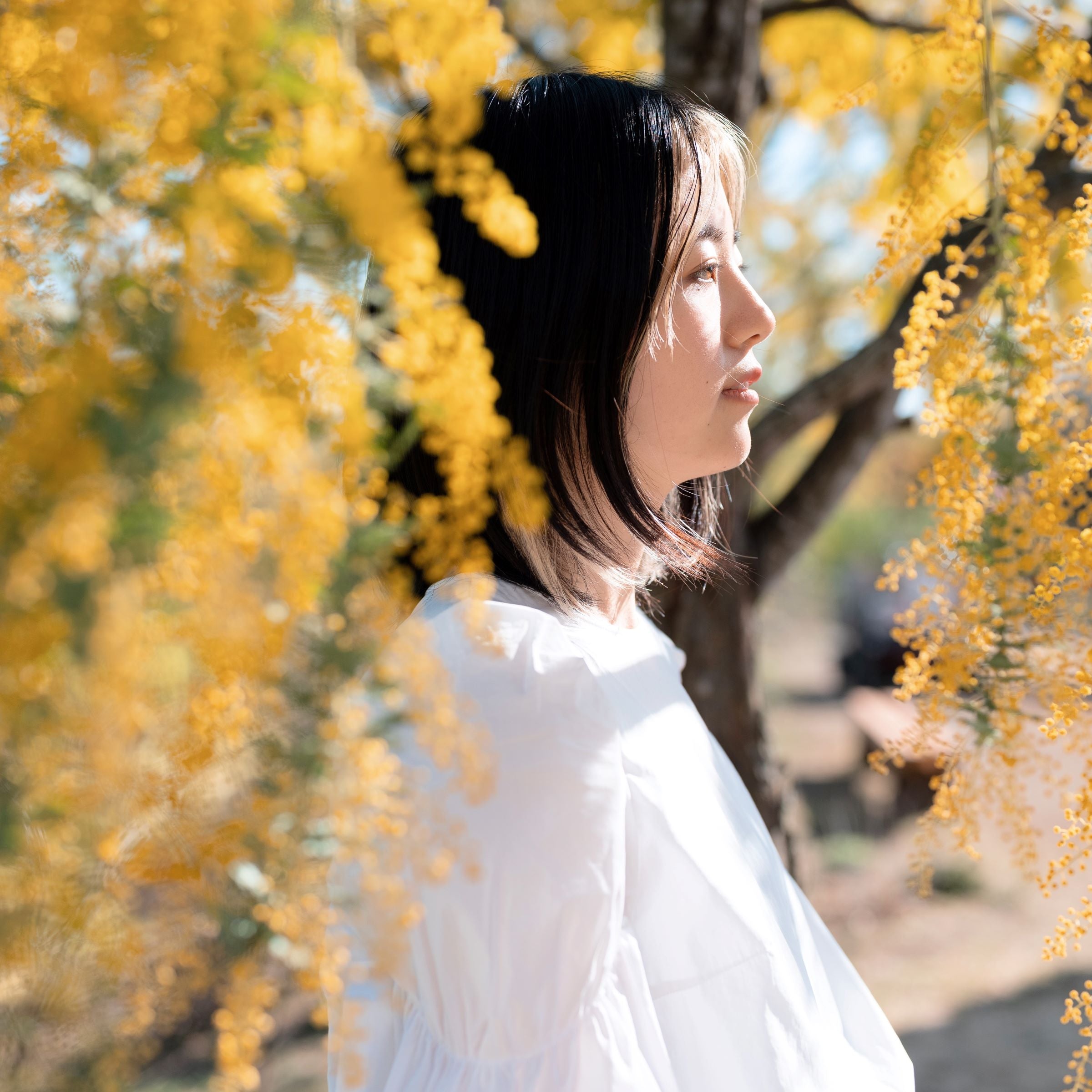 深呼吸を贈りたい相手は誰ですか？／HAAメンバーに聞いてみました